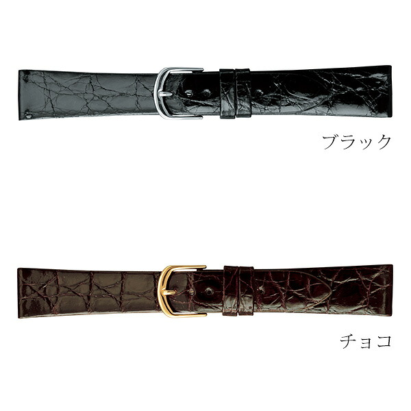 時計 ベルト 16mm 17mm 18mm 19mm 20mm ワニ革 カイマンシャイニング 交換用 替えベルト 腕時計用 選べるベルト BWA180 プレゼント ギフト