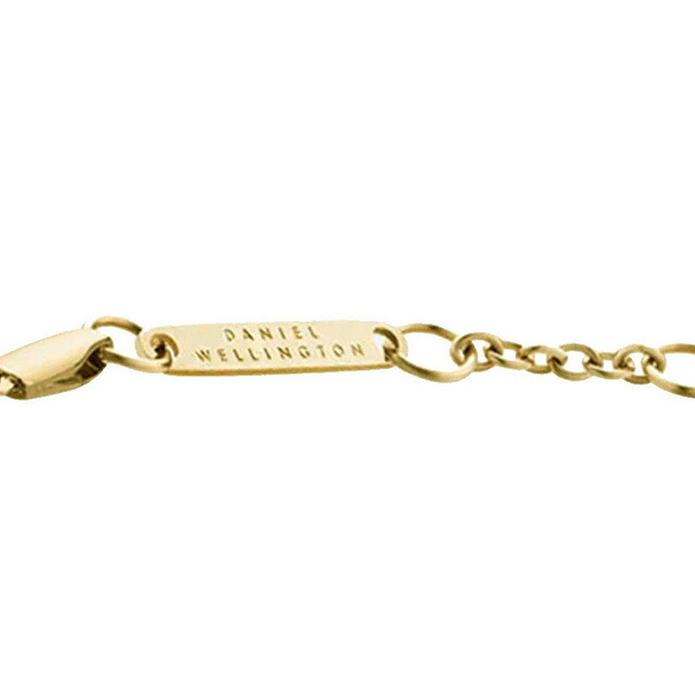 ダニエルウェリントン DANIEL WELLINGTON Elan Flat Chain Necklace Long G ネックレス DW00400548 レディース ゴールド