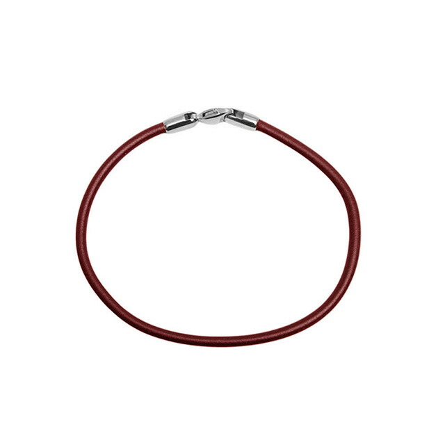 ダニエルウェリントン DANIEL WELLINGTON Leather Bracelet 2.8 St Mawes S 175mm ブレスレット DW00400715 レディース メンズ シルバー ブラウン
