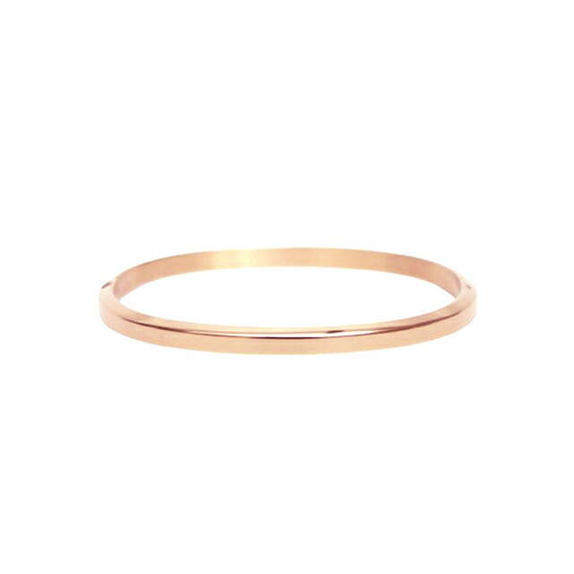 ダニエルウェリントン DANIEL WELLINGTON CLASSIC BANGLE バングル DW00401651 ユニセックス ブランド