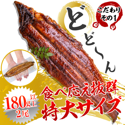 うなぎ 2尾 合計360g以上 特大サイズ うなぎの蒲焼 うなぎの蒲焼き 国産 蒲焼き 鰻 九州産 たれ さんしょう のセット 有頭 ウナギ 鰻 贈り物 ボイル 九州 蒲焼 冷凍 【1-5営業日以内に発送予定（土日祝除く）】