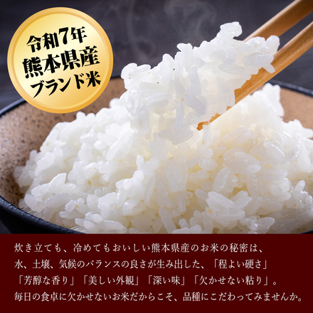 【 熊本県産 森のくまさん 無洗米 20g 】 速攻出荷 令和7年産