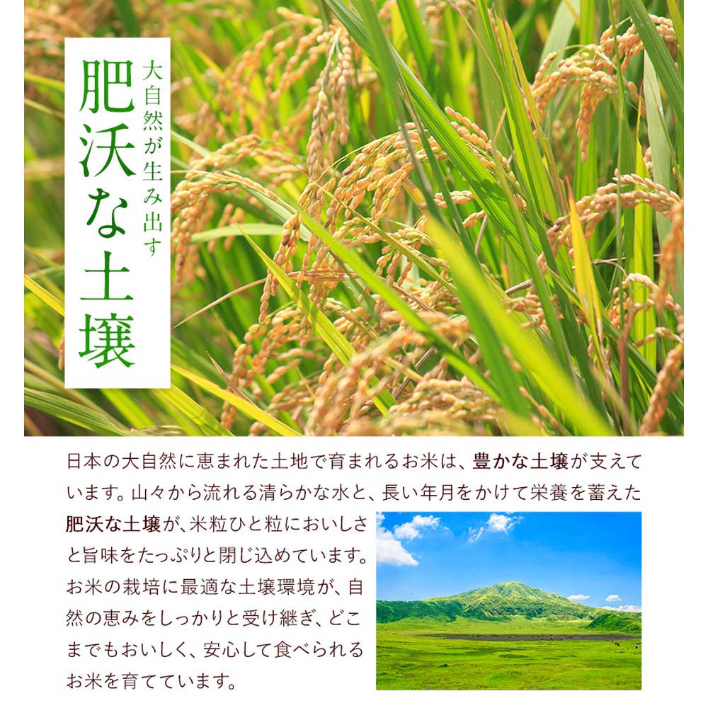 【★最短翌日発送！！★】令和7年産 米 国産 ブレンド ふるさと 無洗米 5kg 精米 国産ふるさと無洗米 非常食 保存食 こめ コメ kome ご当地風土 熊本 1-3営業日以内に出荷予定(土日祝除く)