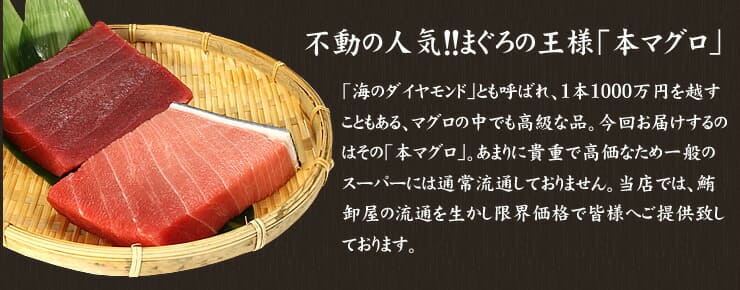 本マグロ 中トロ 赤身 640g セット 解凍レシピ付 [中赤セット-2p]