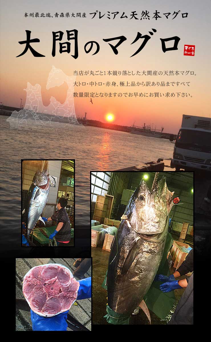 大間産 本マグロ 赤身 150g お刺身カット済み [大間産本鮪赤身]