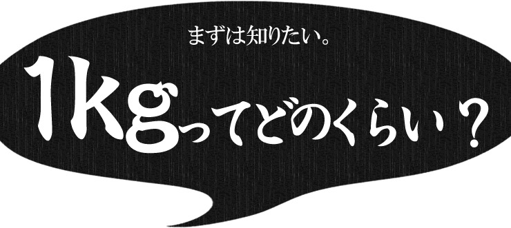 極上 本マグロ 大トロ 1kg 解凍レシピ付 [BF大トロセット1kg]