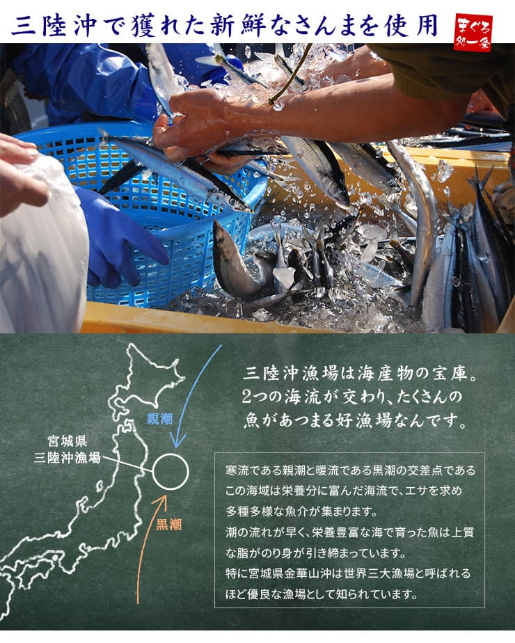 お刺身用 さんま フィレ 三陸産 4枚入り×4パック [さんま刺身フィーレ-4p]