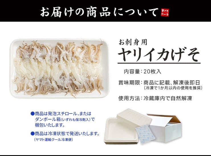 お刺身用 ヤリイカ げそ 20枚入り [ヤリイカげそ20枚]