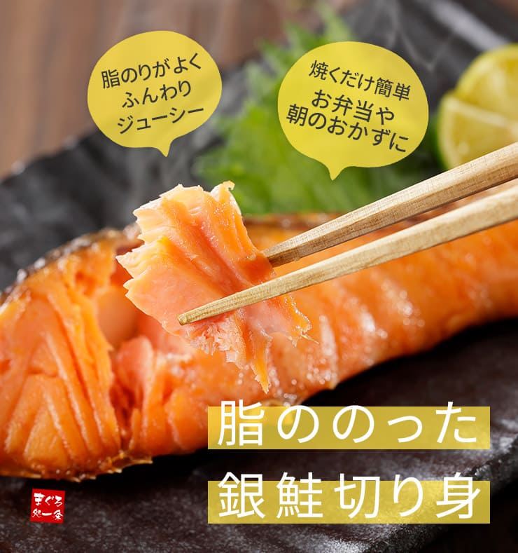 訳あり 銀鮭切り身 1.2kg (有塩･甘口) 20切前後 加熱用 チリ産 チャック袋入り シミ・身割れの切り身 [有塩_B級銀鮭切り身1.2kg]