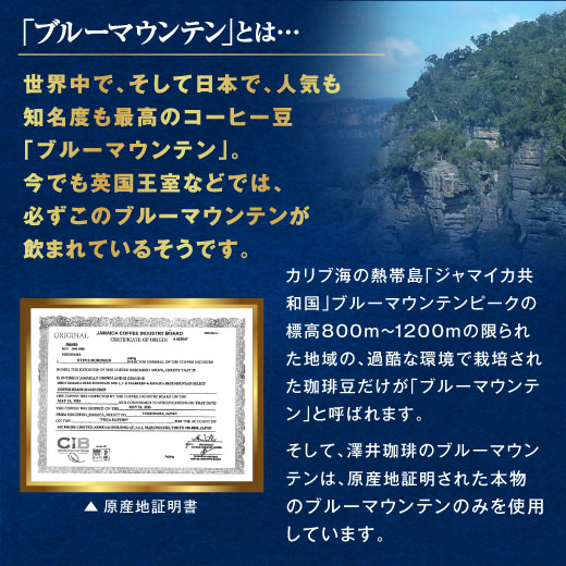 澤井珈琲 ジャマイカ政府日本優秀賞受賞のブルーマウンテン ブルーマウンテンNo.1 キャニスター2缶 木箱入りギフト 中挽き