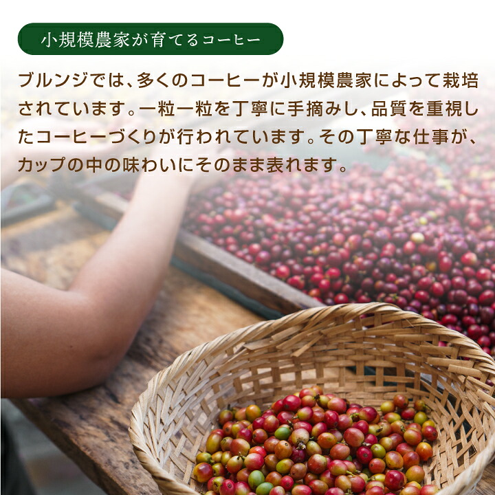 澤井珈琲 すっきり華やぐ珈琲豆 ブルンジ産 アフリカンマウンテン 200g×2袋 豆のまま