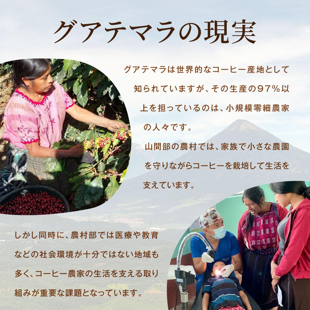 澤井珈琲 香り良くすっと飲める グアテマラ サステナブルコーヒー 200g×2袋 豆のまま