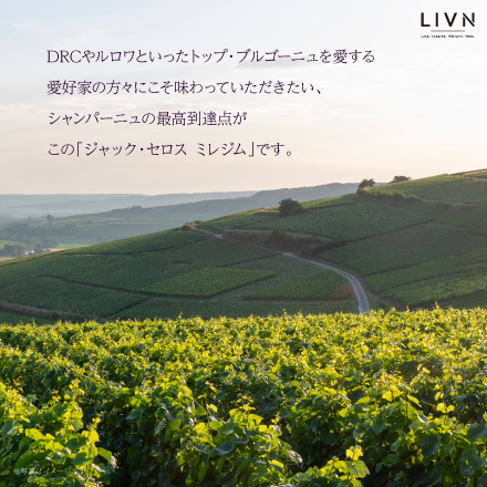 NV ジャック・セロス リューディ アイ ラ・コート・ファロン エクストラ・ブリュット　[ LIVN （リブン) ]