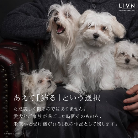 PREMIUN DOG PHOTO（ドッグフォトアート）A2相当　[ LIVN （リブン) ]