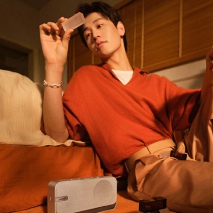 Bose SoundLink Home Bluetooth Speaker ライトシルバー SLink Home BT SP SLV