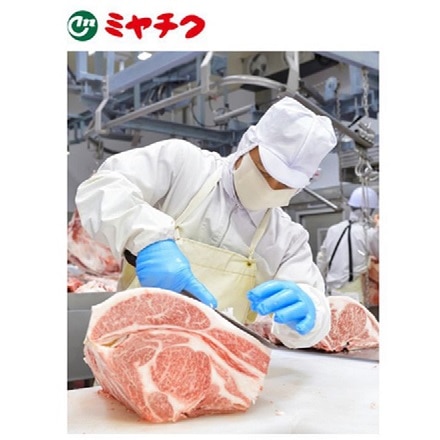 ミヤチク 宮崎牛 ステーキ用 サーロイン 170g×2枚