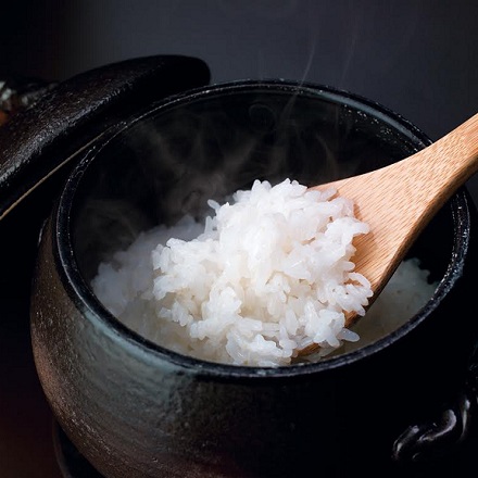 雪温精法 新潟産こしひかり 10kg 令和6年産