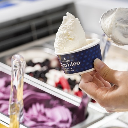 GELATO LicoLico 自家製 ジェラート ミルク 2L