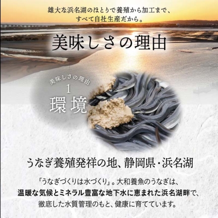 浜名湖うなぎ蒲焼ハーフカット3袋