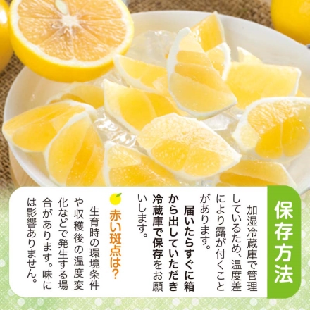 贈答用 夏小夏（ナツコナツ）1.5ｋｇ 送料込み