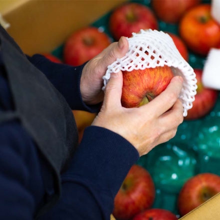 夏の果物6品詰合せ 送料込み