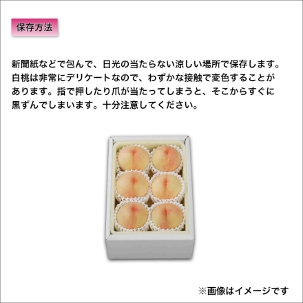 岡山白桃 1.4ｋｇ