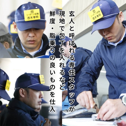 シーボーン昭徳の天日干し詰合せ 真あじ開き360g(6枚)、真さば片身180g(2枚)、かます開き160g(2枚)、連子鯛開き180g、剣先いか開き80g