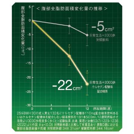 〈サントリー〉伊右衛門 特茶 500ml×24