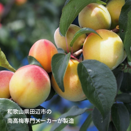 紅梅園 まろやかはちみつ南高梅 2箱