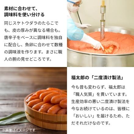 福太郎 からしめんたいチューブ 2個セット