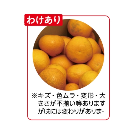 わけあり 清見タンゴール 3ｋｇ