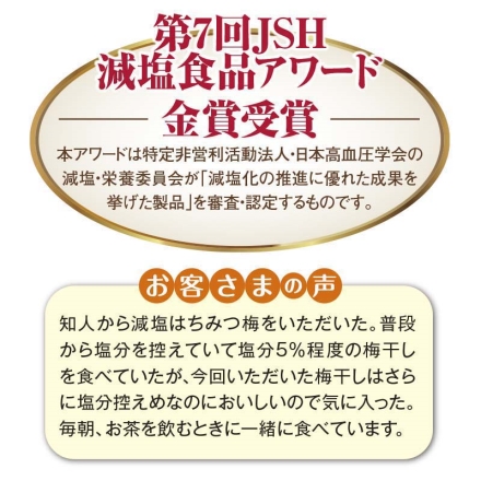 中田食品 紀州の完熟南高梅 減塩はちみつ梅 500ｇ