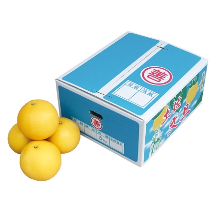 土佐文旦 家庭用 Ａ 5kg（L～4L：7～12個）