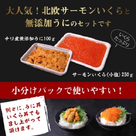 大阪中央卸市場さんつね イクラとウニの２色海鮮丼 永久不滅ポイント Ucポイント交換の Storee Saison ストーリー セゾン