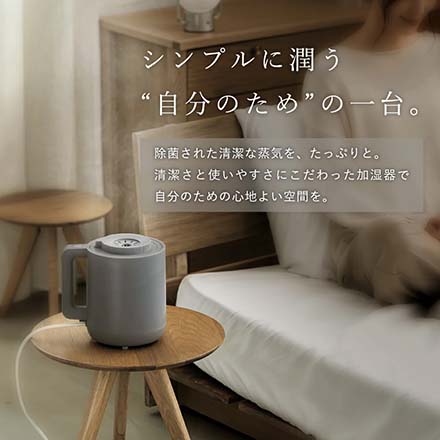 LAViNO ラビーノ ホットモイスト スチーム式 卓上加湿器 8時間連続