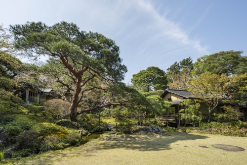 【京都】南禅寺参道 菊水　２名様アフタヌーンティープラン