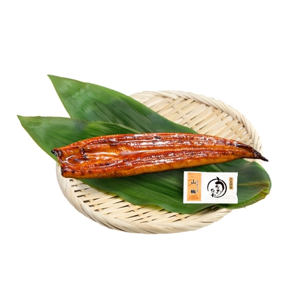 特大・生産者限定 ひむか山道うなぎ蒲焼