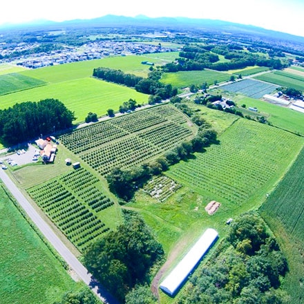 永久不滅ポイント交換の Storee Saison ストーリー セゾン ジェラテリア ミルティーロ 北海道 自社栽培オーガニックブルーベリーのジェラート12個セット スイーツ