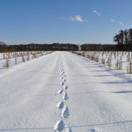 ベリーファーム 北海道 自社栽培オーガニックブルーベリーのジャム3個セット グルメ 永久不滅ポイント交換の Storee Saison ストーリー セゾン