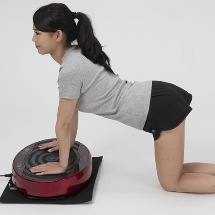 永久不滅ポイント交換の Storee Saison ストーリー セゾン アルインコ 振動マシン バランスウェーブミニ ビューティー ヘルスケア