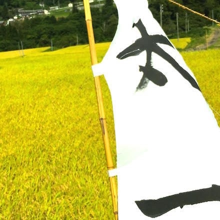 長野県小滝集落産 希少米コタキホワイト 1.8kg×2 令和3年産