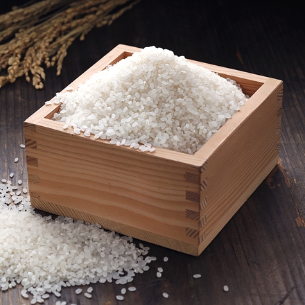 九州産お米の詰合せ 森のくまさん 夢つくし 各5kg