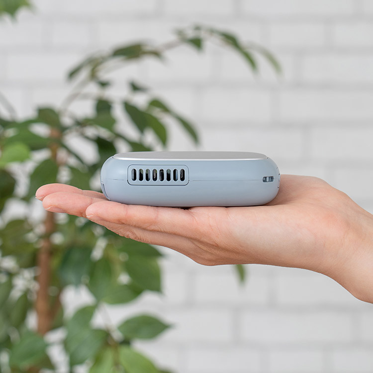 Life on Products ライフオンプロダクツ スリムアイスカイロ ベージュ LCAEA022