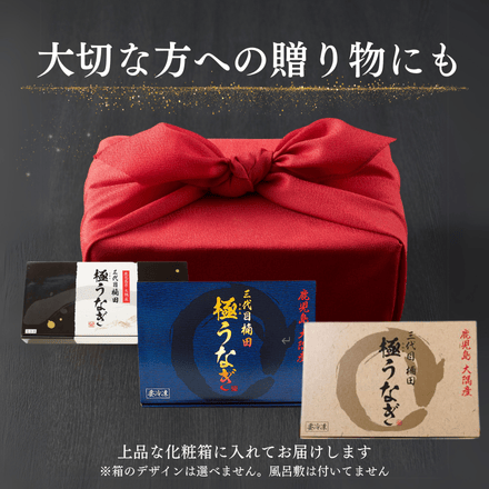 鹿児島県 楠田のきざみ うなぎ 70g×10袋