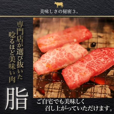 近江牛 上カルビ焼き肉セット 500g 2～3人分