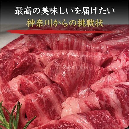 相模牛 肩ロース 焼肉用 500g 2～3人前