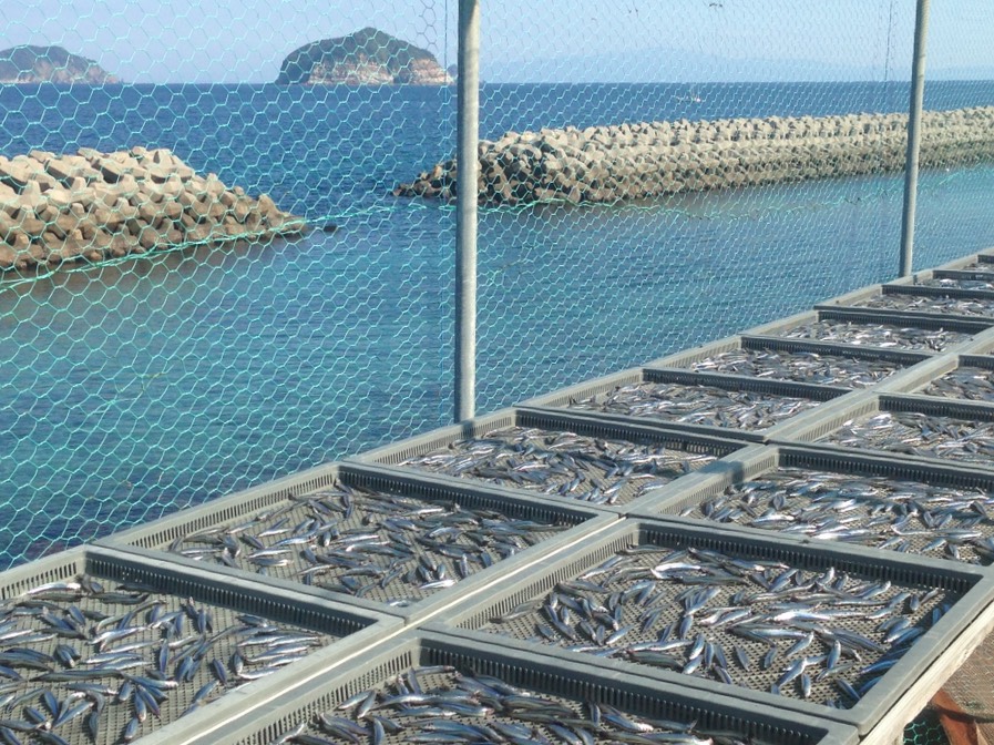 甑島の詰め合せ