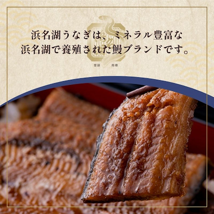 浜名湖 うなぎ 真空長白焼(大)2枚入り