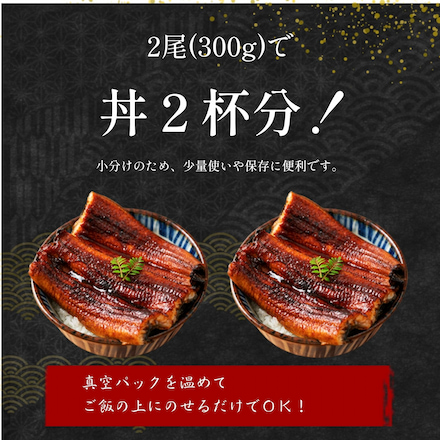 うなぎ 静岡 浜名湖産 伝統の長蒲焼「でしこ」2尾セット マルマ中塩商店 厳選