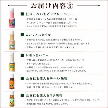 野菜村ドレッシング・調味料 100ｍｌ×14種